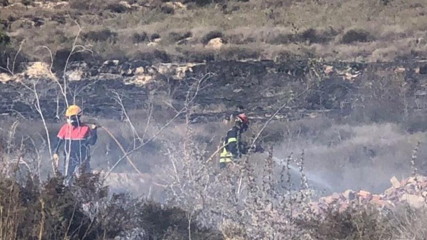 Un incendio calcina 400 metros cuadrados de cañas y matorral en Torremendo
