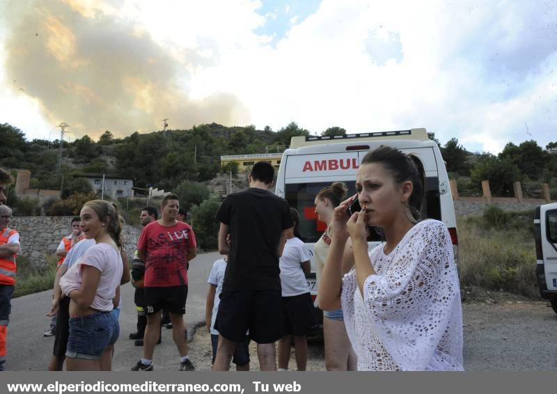 GALERIA DE IMÁGENES  - INCENDIO FORESTAL EN LA VALL