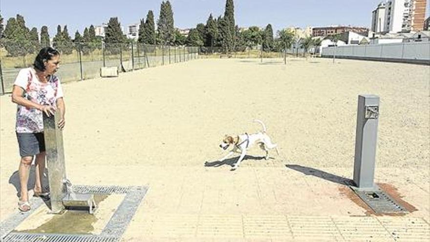 Málaga cierra el parque canino situado sobre una fosa de fusilados