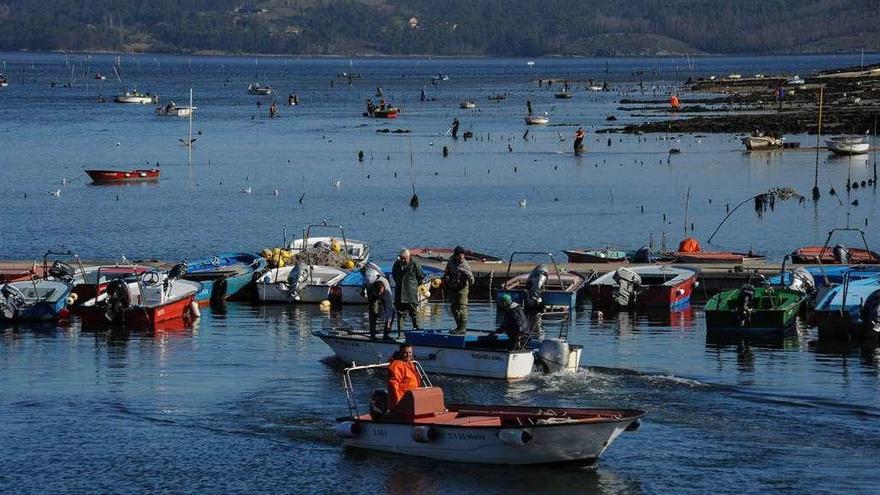 Carril alerta de que la liberación de agua del embalse del Ulla arrasará el marisco