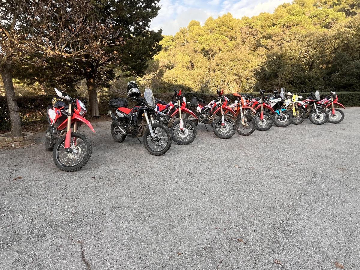 Honda CRF300L vs Rieju Aventura Rally 307: Duelo en la categoría trail ligera