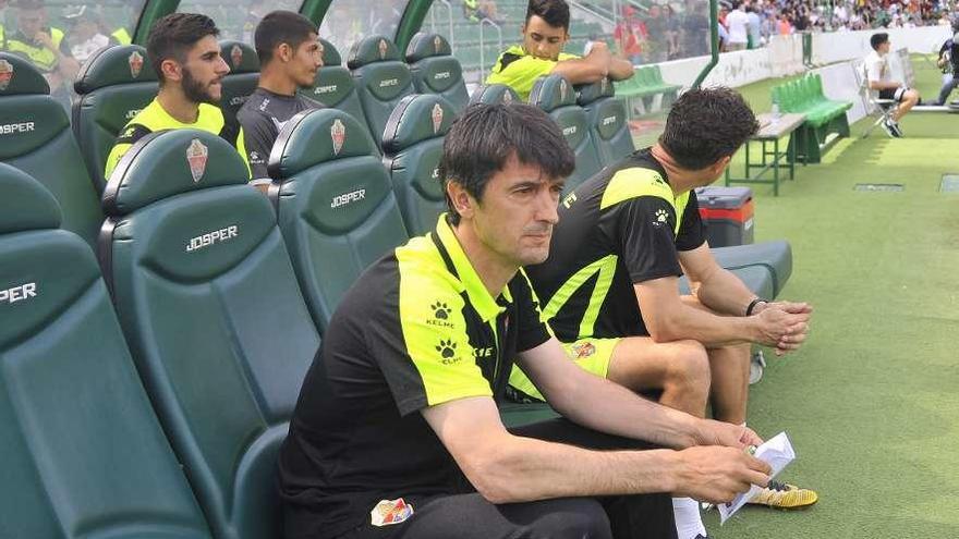 Pacheta, en el banquillo, durante un partido del Elche en el Martínez Valero.