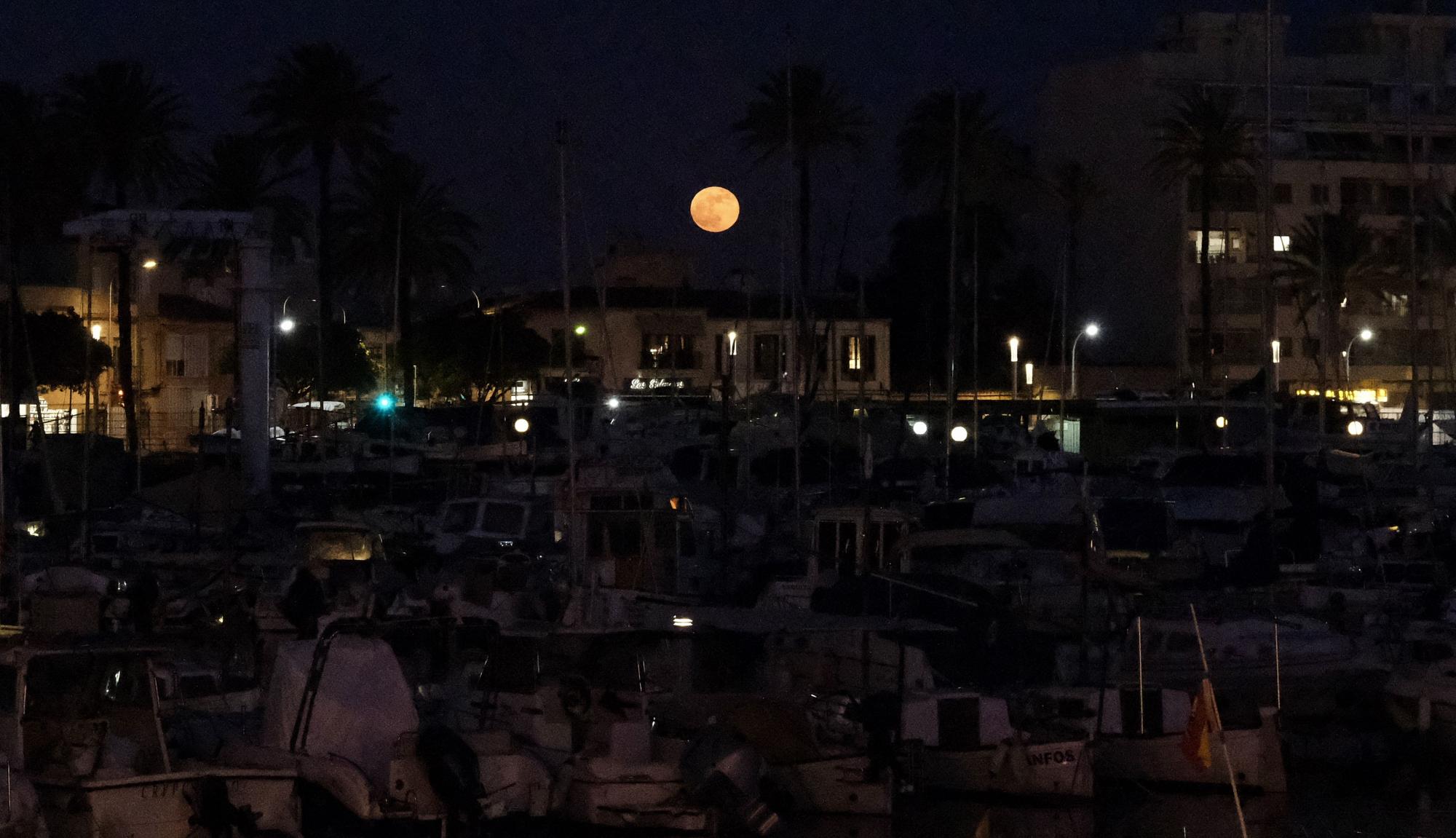 Así se ha visto la superluna de sangra sobre Mallorca