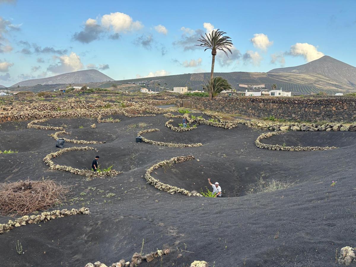 Lanzarote