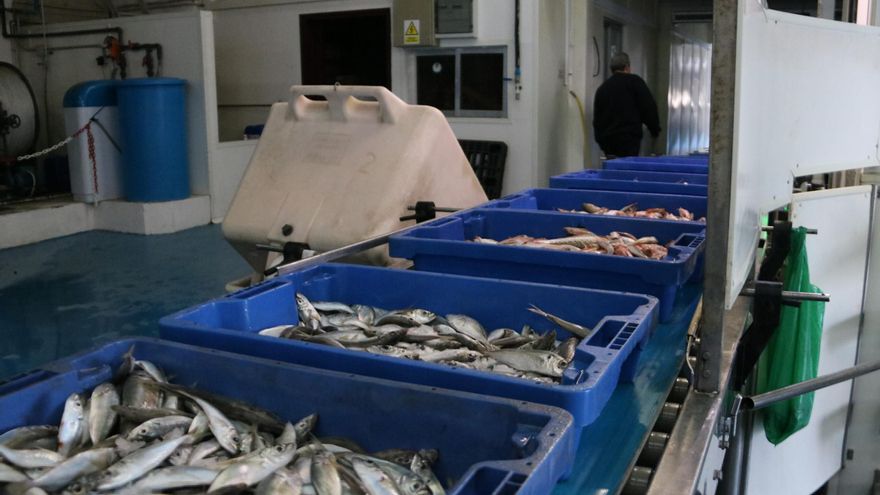 El president de la Federació Catalana de Pescadors, Antoni Abad, critica l&#039;acord de la CE sobre la pesca: &quot;És allargar l&#039;agonia&quot;