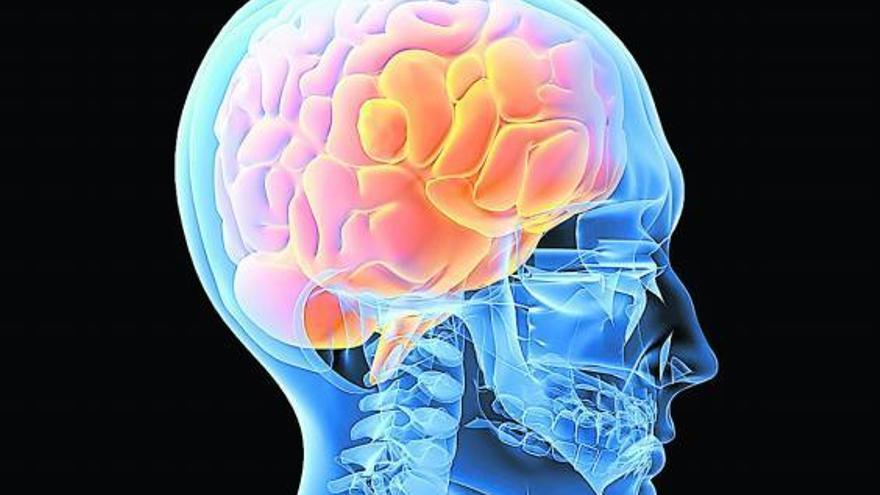 Los secretos de una buena salud cerebral
