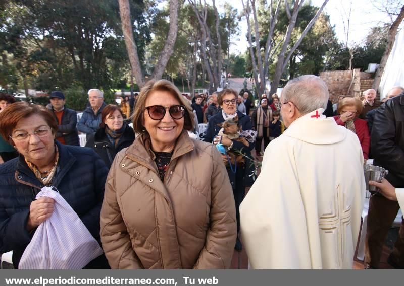 Sant Antoni en Vila-real