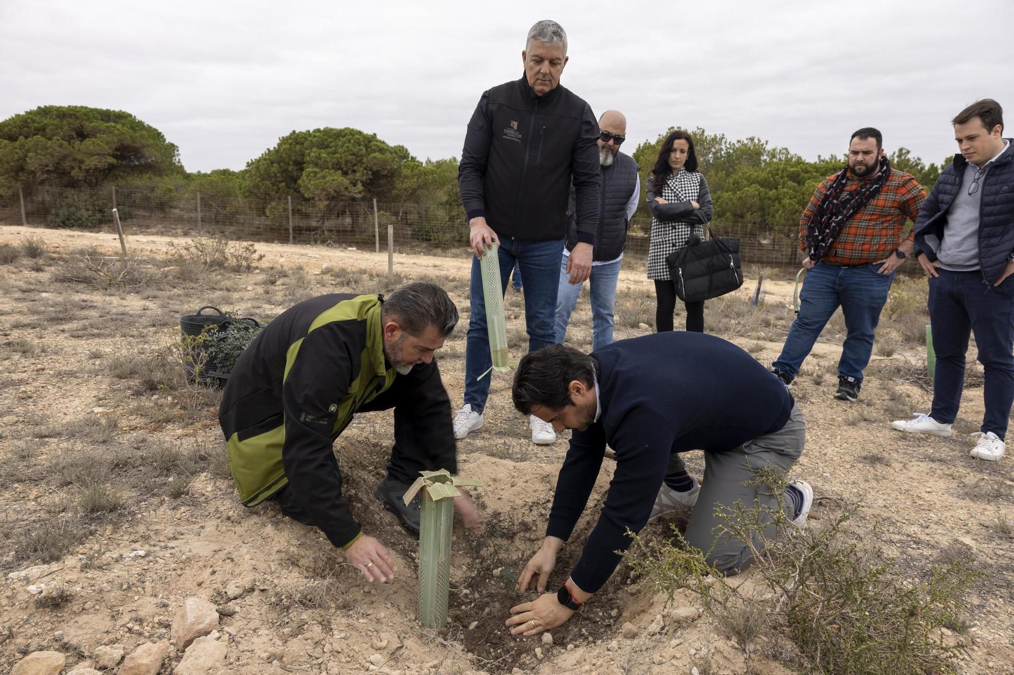 800 escolares se implican en la celebración del Día del Árbol con la plantación de especies autóctonas en torno a la laguna de La Mata de Torrevieja