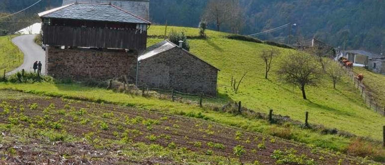 Ore, una mirada entre pegollos