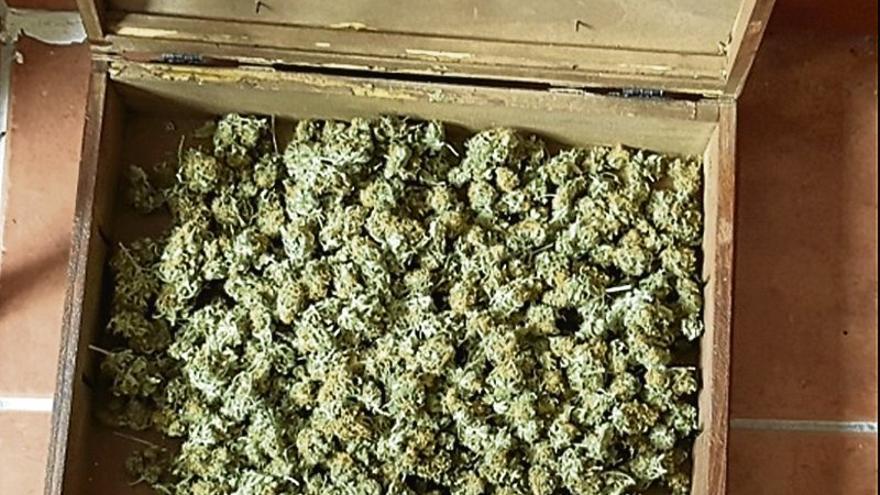 Cinco detenidos en una operación contra el tráfico de marihuana en Montijo