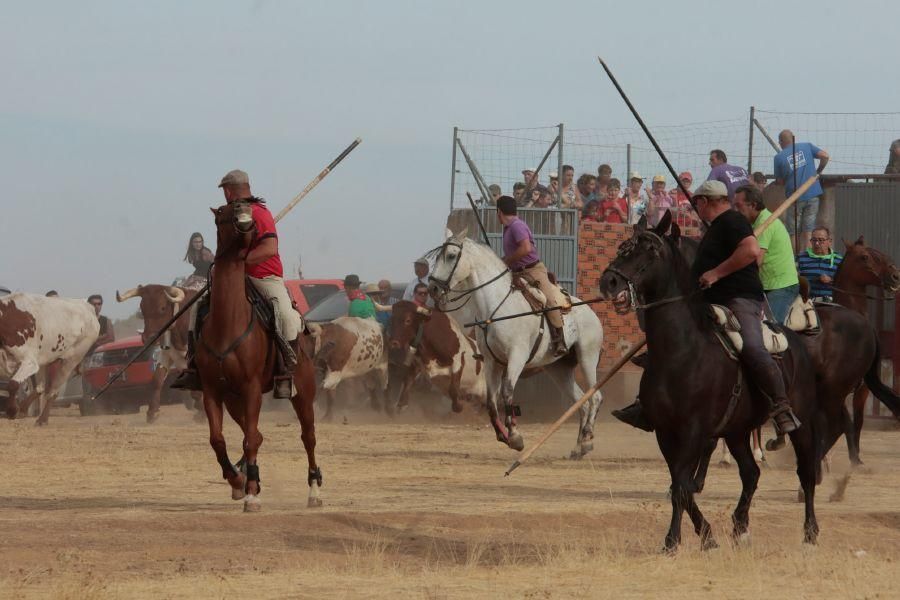 Fiestas en Zamora: Espantos en Carbajales