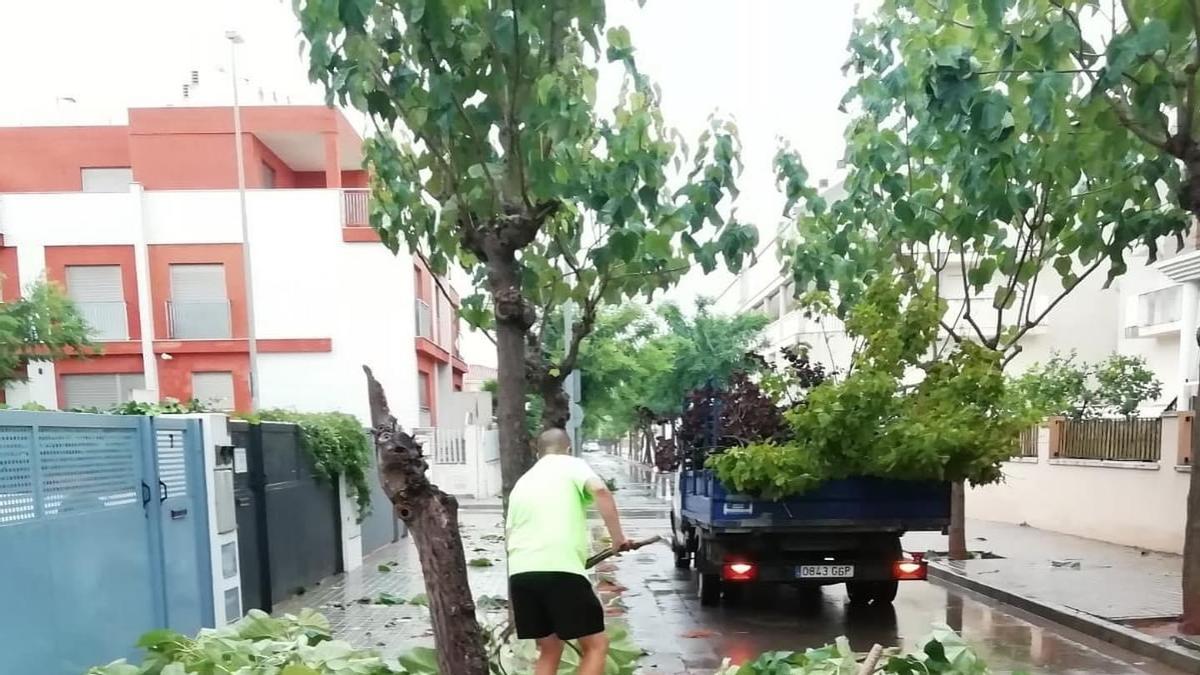 La brigada de obras del Ayuntamiento de Almenara lleva toda la tarde atendiendo incidencias, como la caída de árboles.