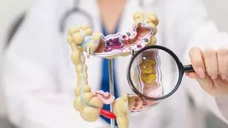 El intestino produce alrededor del 90% de la serotonina del organismo: qué significa este dato y otras curiosidades