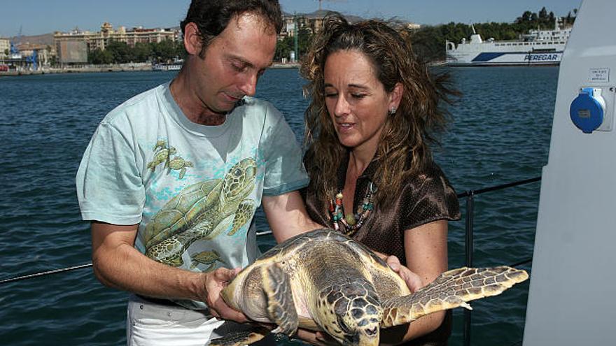 La consejera de Medio Ambiente, Cinta Castillo, durante la liberación de las tortugas en el puerto de Málaga.