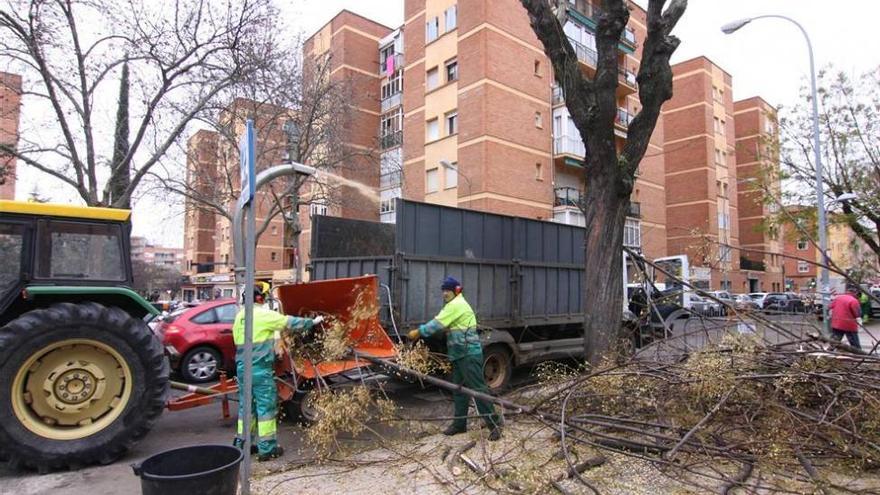 Badajoz empezará a producir combustible a través de biomasa