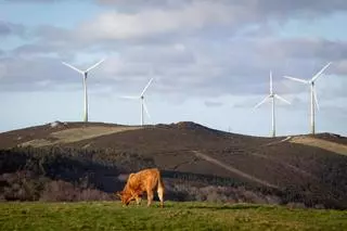 El Gobierno archiva el expediente de inhabilitación abierto a la eléctrica de Recursos de Galicia