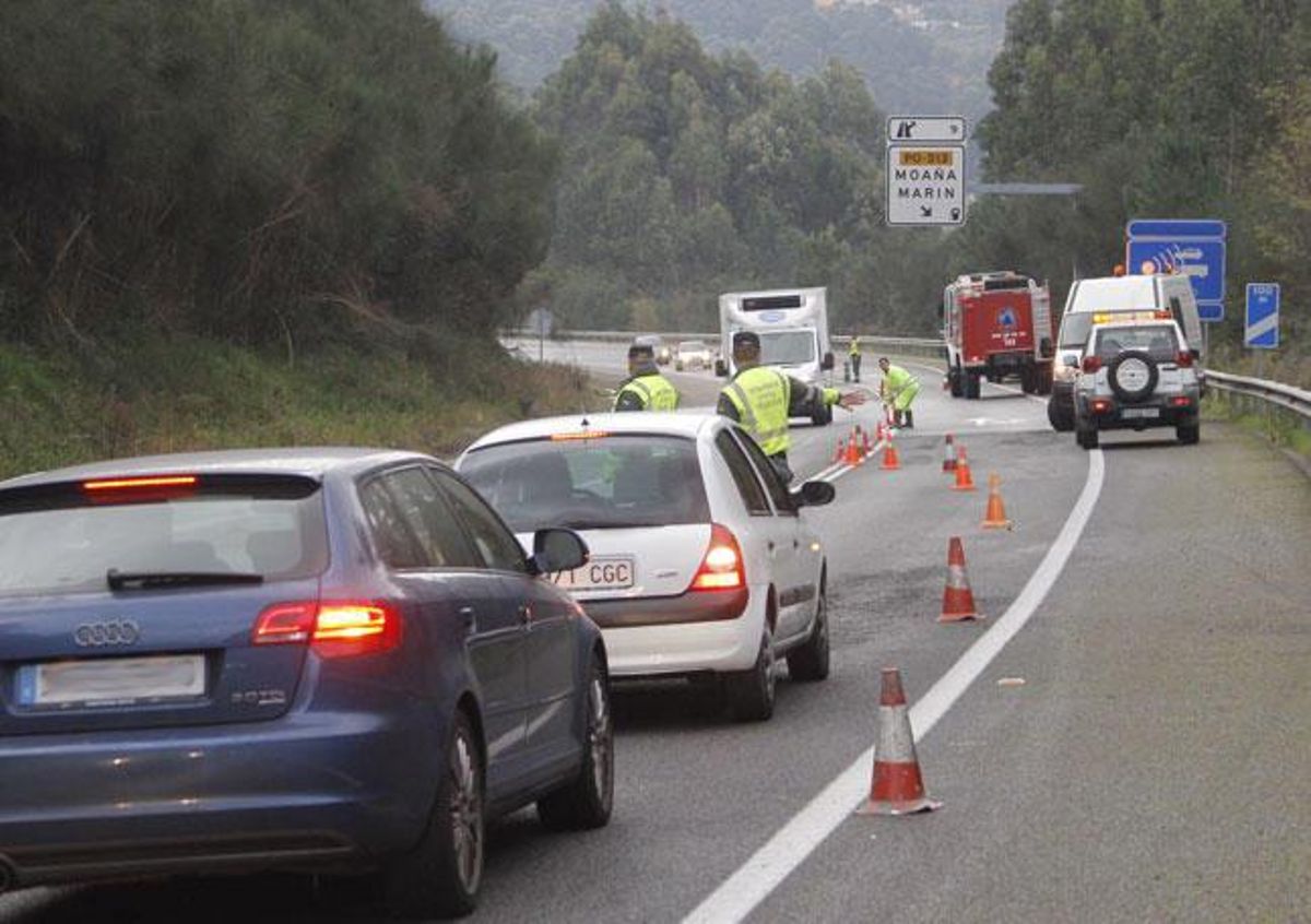 Un herido en el Corredor  en el atropello mortal de un jabalí