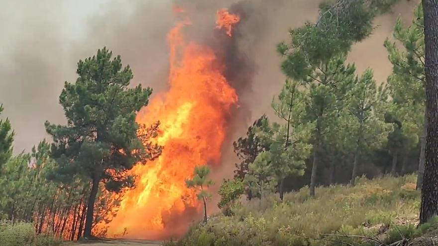 VÍDEO | Más imágenes del incendio en Las Hurdes