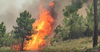 VÍDEO | Más imágenes del incendio en Las Hurdes