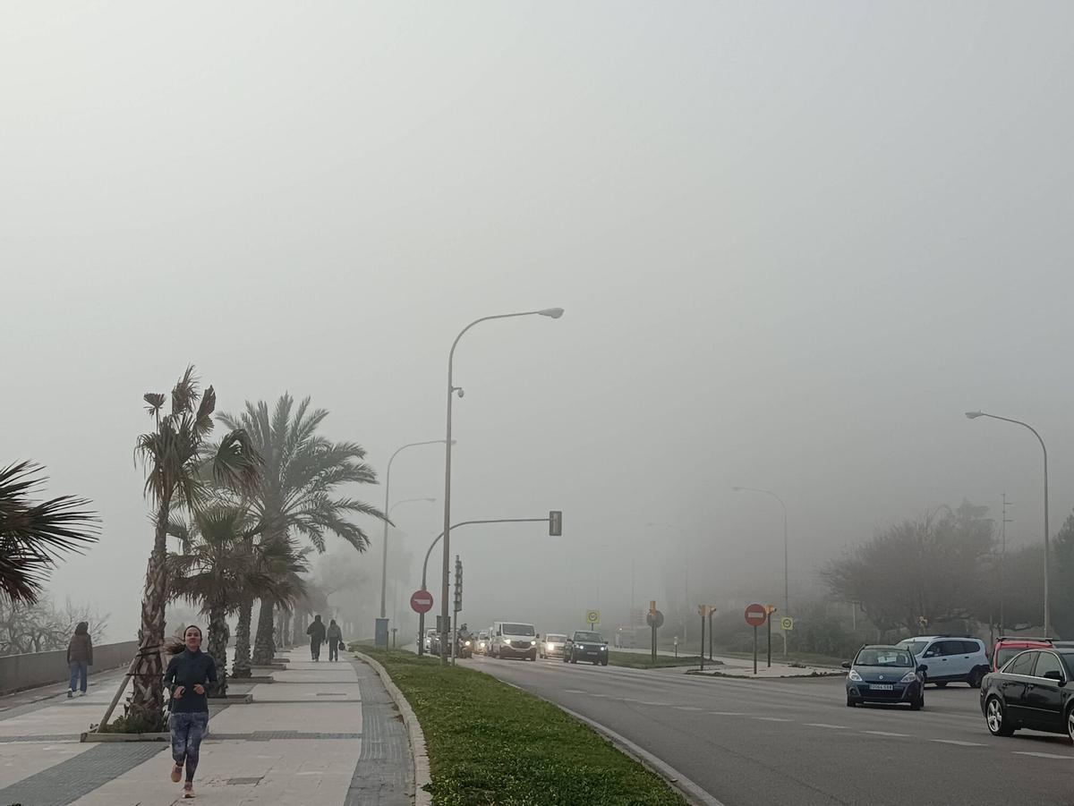 Las imágenes de la niebla en Mallorca