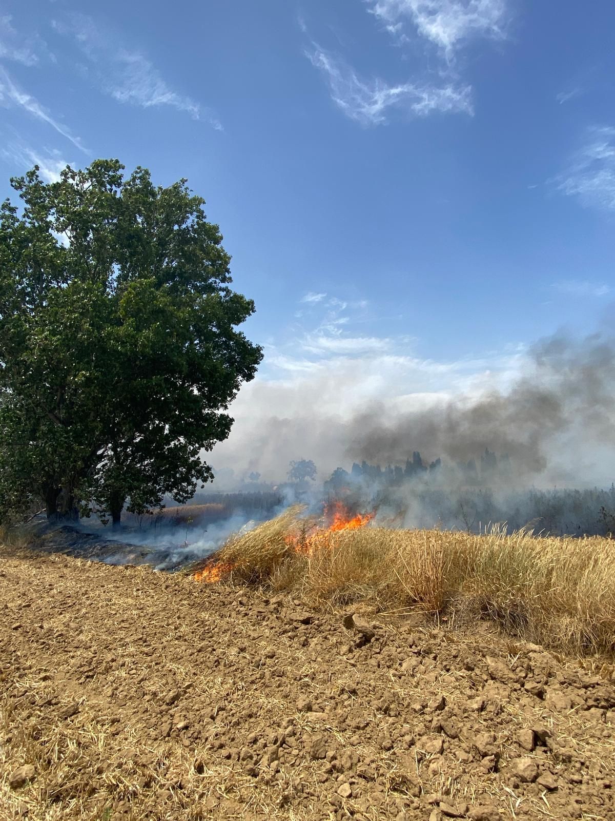 Les imatges de l'incendi a prop del polígon de Logis Empordà