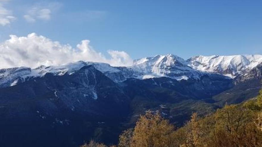 Aragón supera las 100.000 hectáreas forestales certificadas