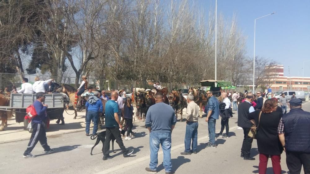 Concentración a favor del Tiro y Arrastre en Silla.