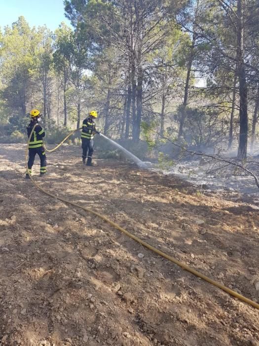 Extinguido un incendio en la Torre de les Maçanes