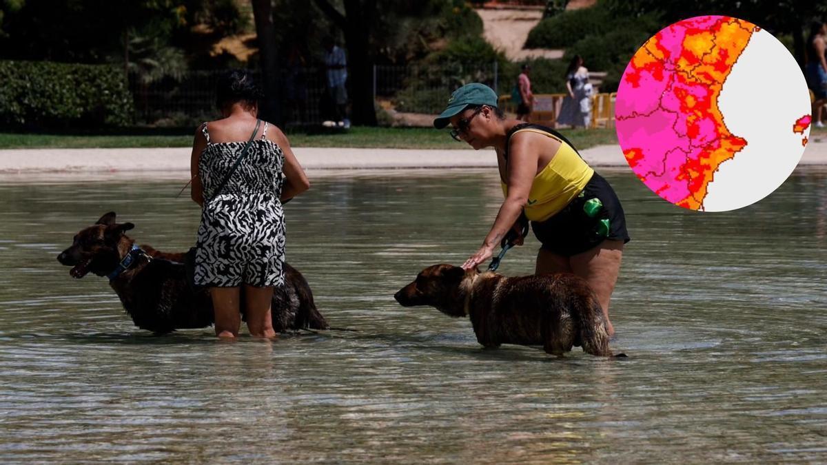 El mapa del calor de la Aemet: los municipios de la Comunitat Valenciana que marcarán las máximas más altas este fin de semana.