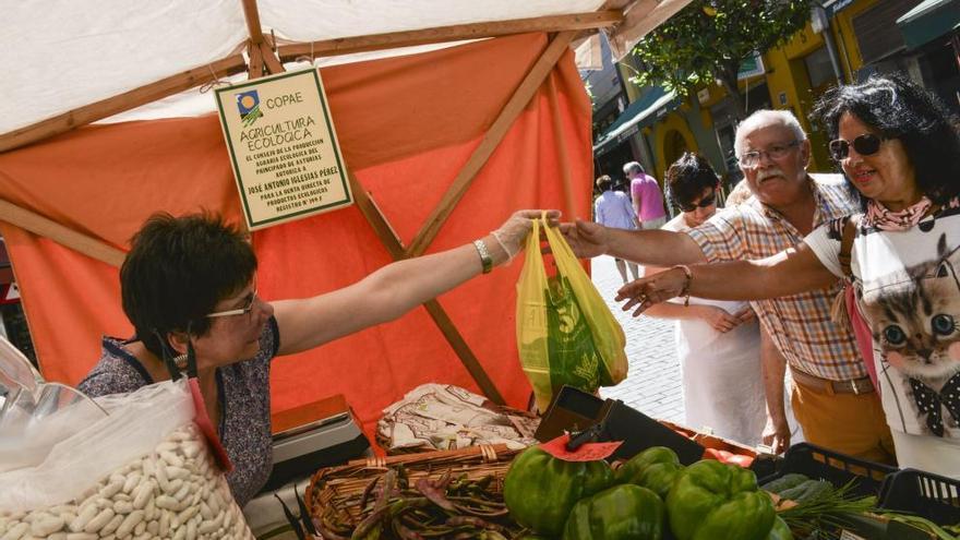 El Mercau Artesanal y de Productos Ecológicos, mañana en Gascona.