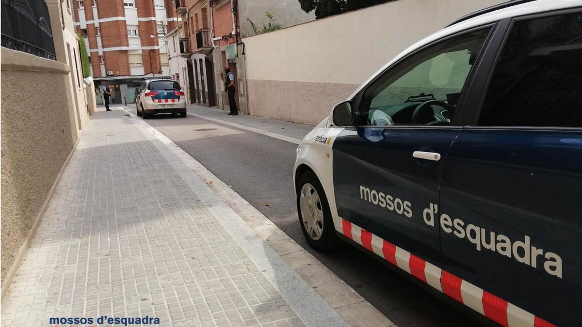 mossos