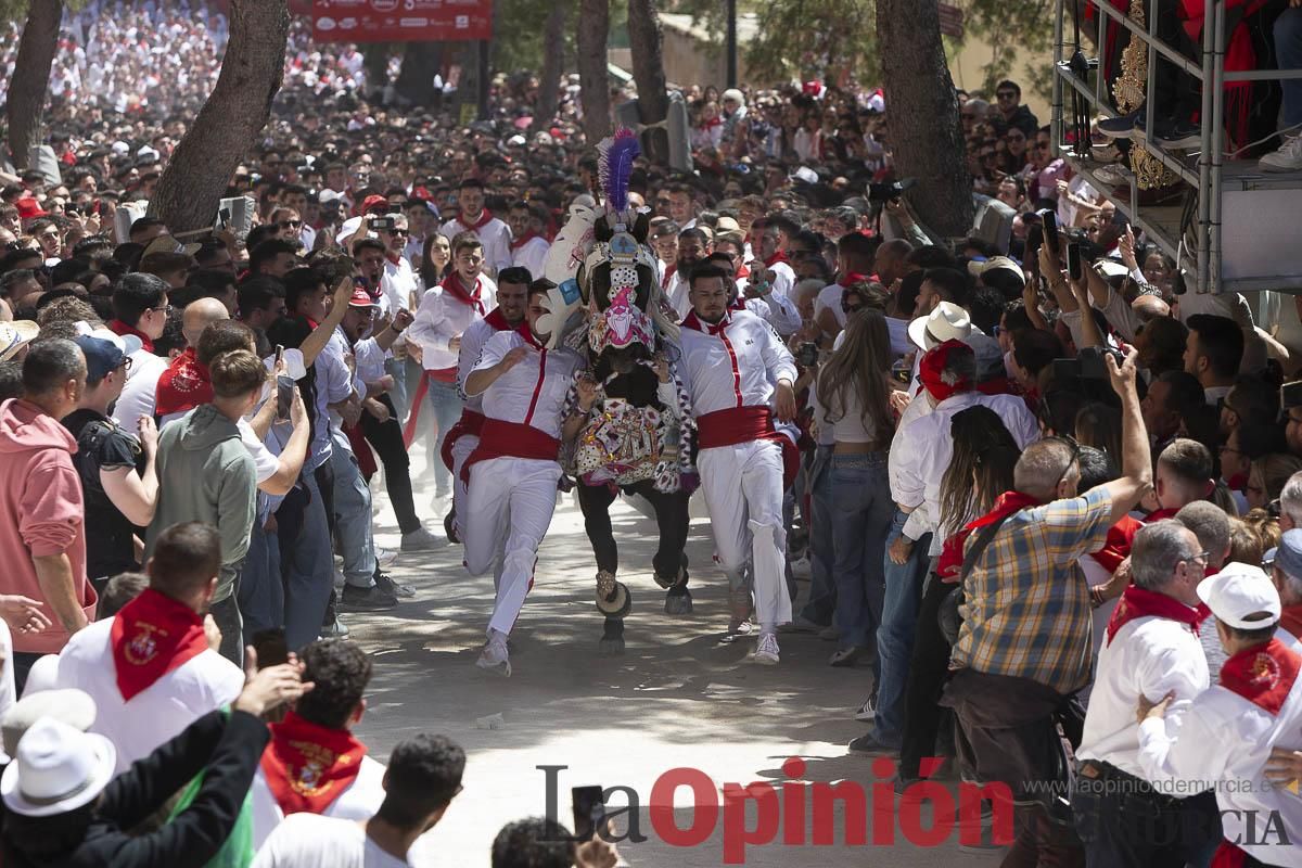 Así se ha vivido la carrera de los Caballos del Vino en Caravaca