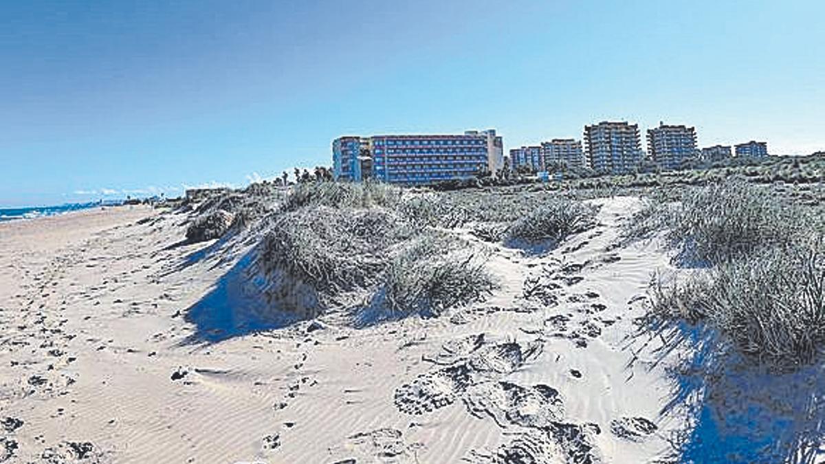 Playa del Sur de València con regresión.