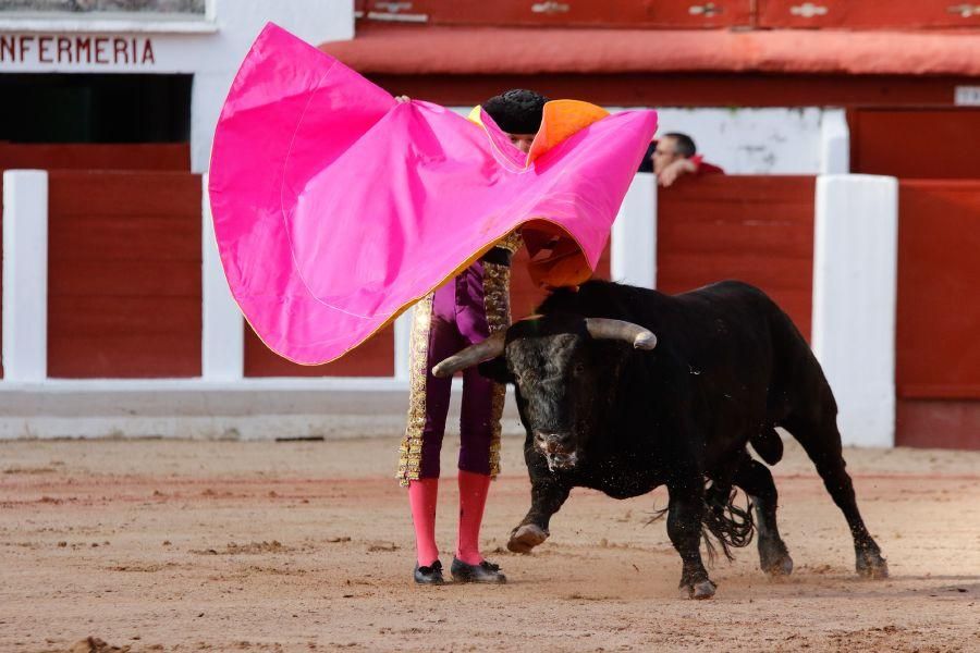 Tarde de toros en Zamora