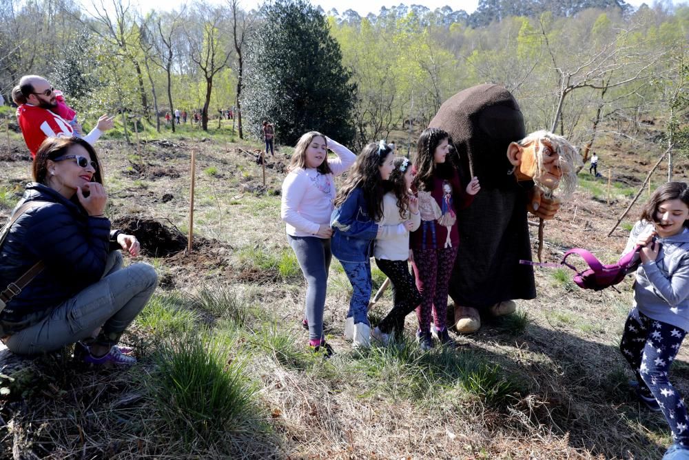 Plantación Carbayera Monte Deva (reforestación)