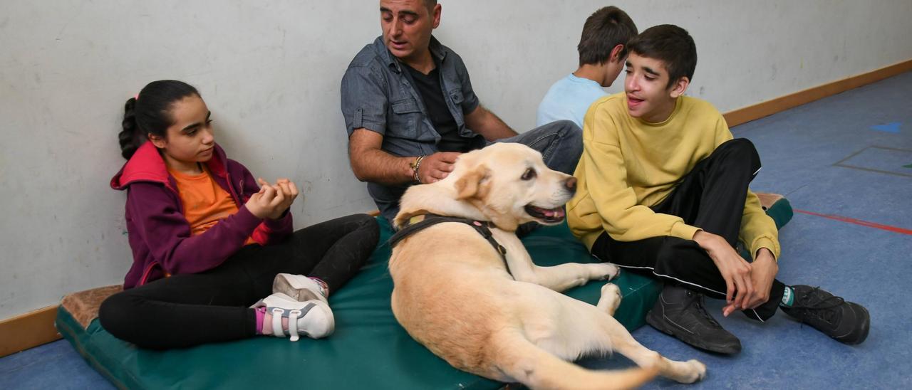 Terapia con perros en el colegio Virgen del Castillo de Zamora
