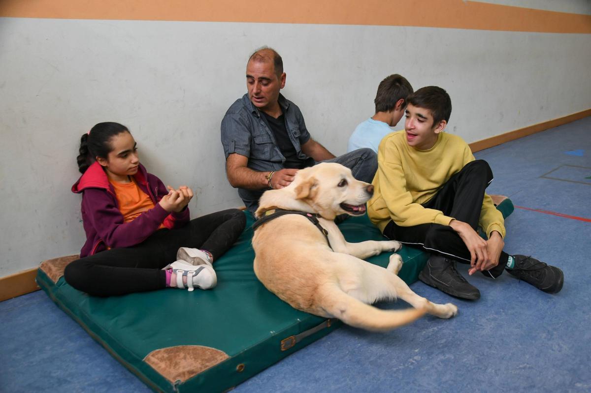 Terapia con perros en el colegio Virgen del Castillo de Zamora