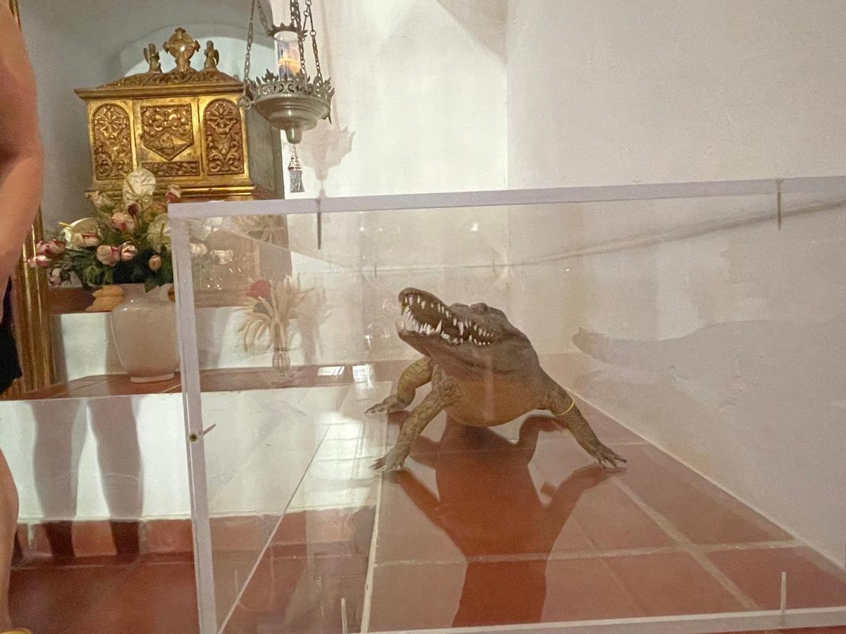 El caimán disecado expuesto en la ermita Nuestra Señora de Gracia de Fuente Obejuna.