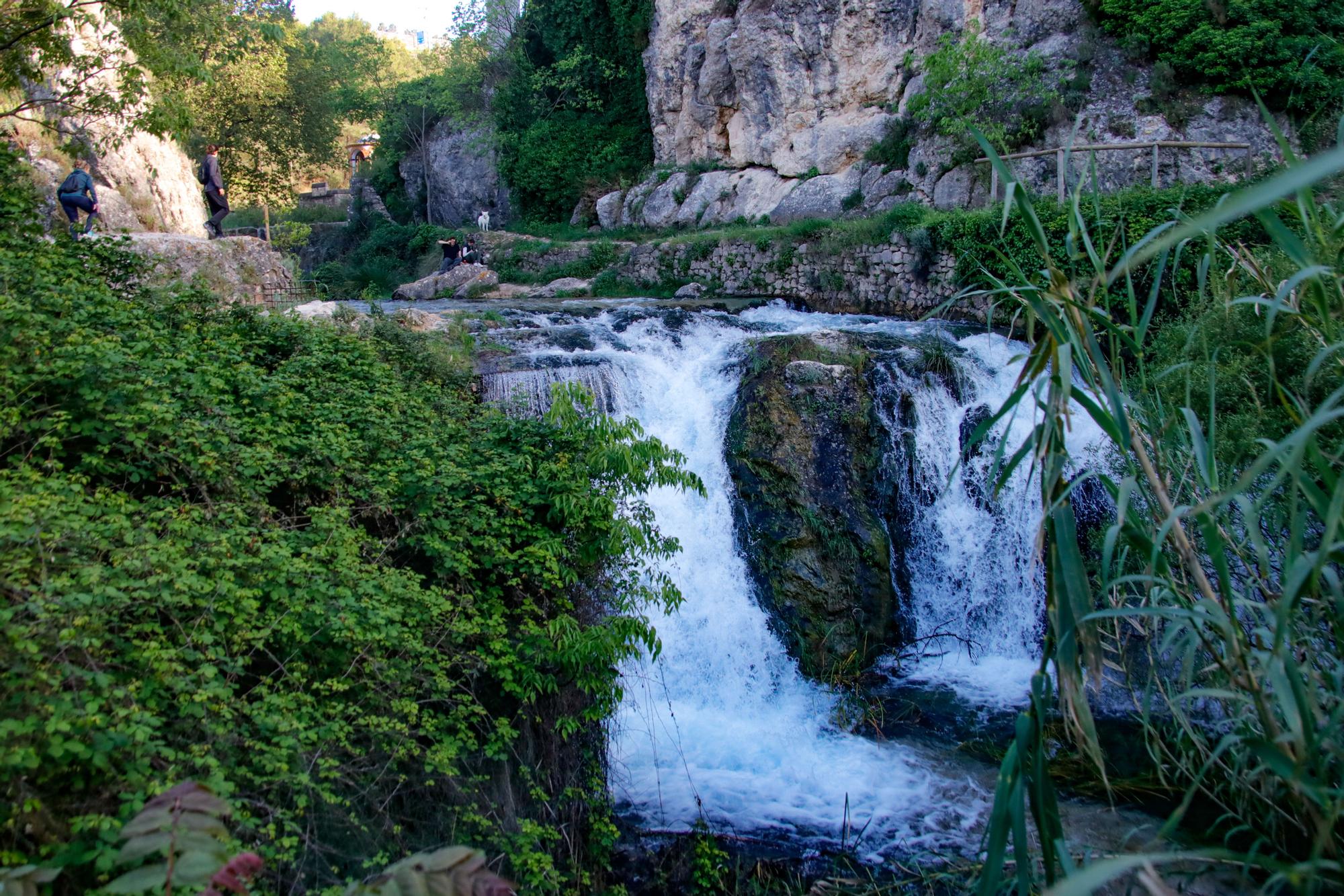 Los parajes de Alcoy se convierten en un reclamo turístico tras las lluvias de marzo y abril