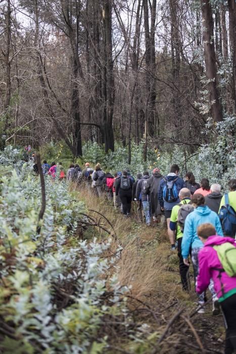 Más de medio millar de personas se citaron esta mañana en Coruxo para recorrer la zona quemada en octubre de 2017.