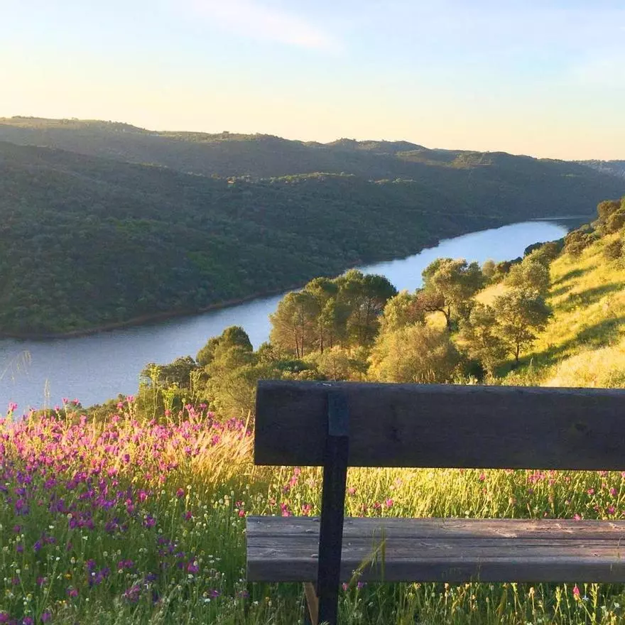 La ruta de agua que nace en el Aljarafe y acaba en los lagos más famosos de Sevilla