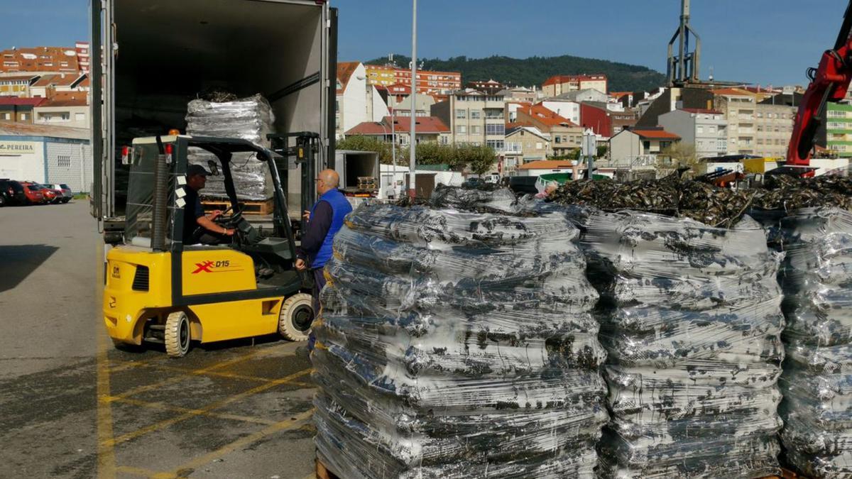 Carga de producto, ayer, en un camión en el muelle del centro de Moaña. |  SANTOS ÁLVAREZ