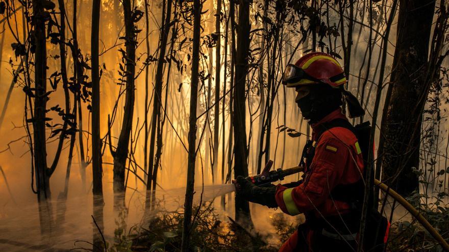Los incendios se inclinan al sur: el 73% del monte quemado es de Ourense y Pontevedra
