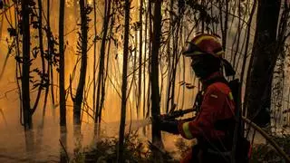 Pontevedra y Ourense concentran el 73% del monte arrasado por el fuego
