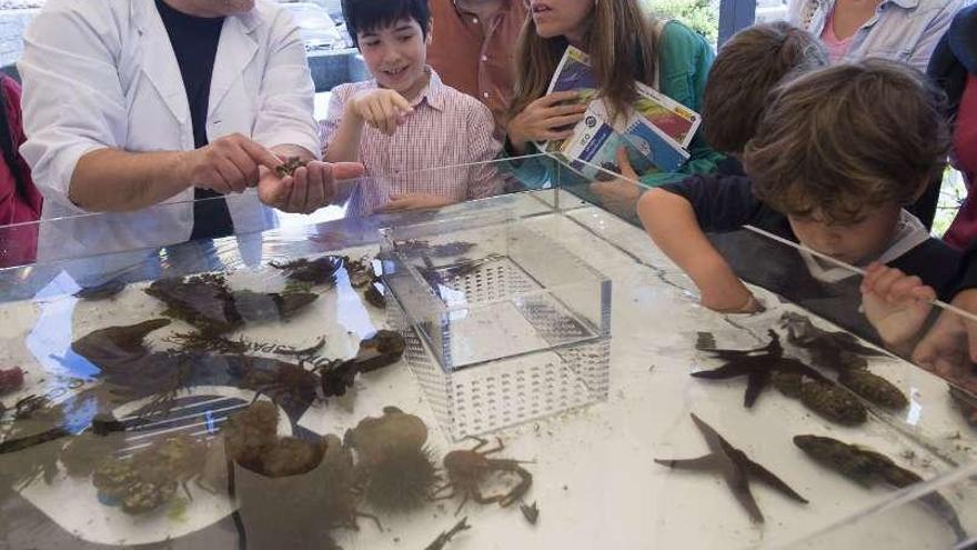 El Oceanográfico informa al público en su jornada de puertas abiertas