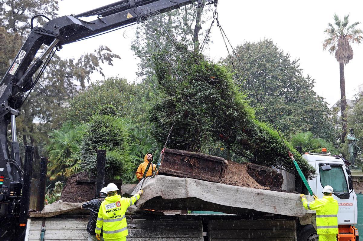 Traslado con grúa del Dinoseto y su cría para su recuperación