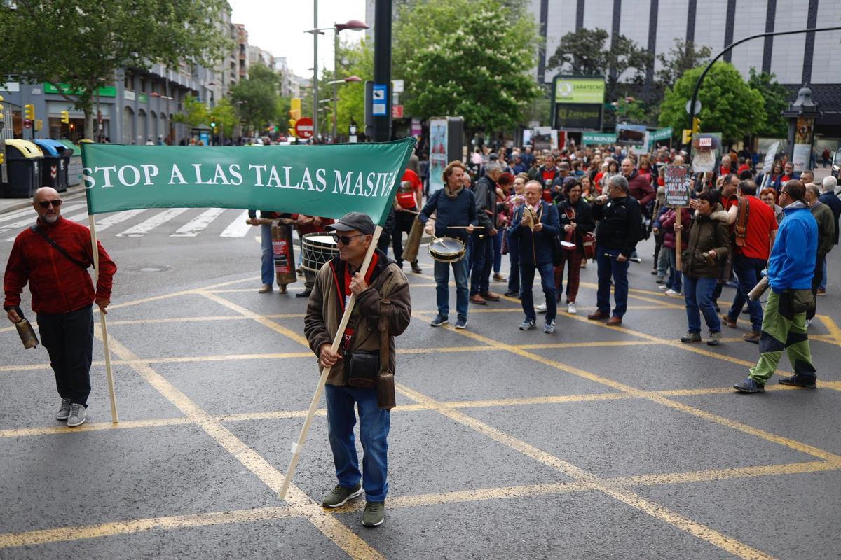 Fotogalería | Manifestación contra la tala masiva de árboles en los ...