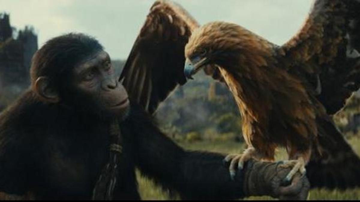 Fotograma de la película 'El reino del planeta de los simios'
