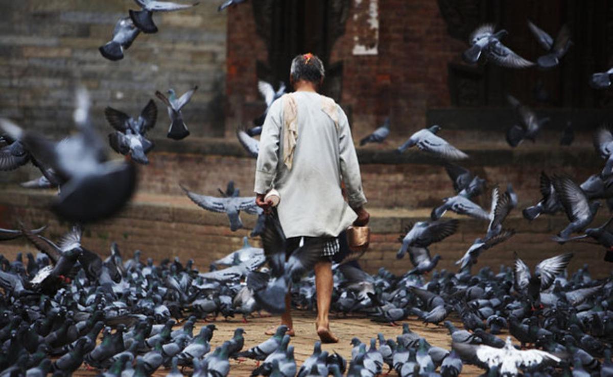 Un home camina entre els coloms a Kàtmandu (Nepal).