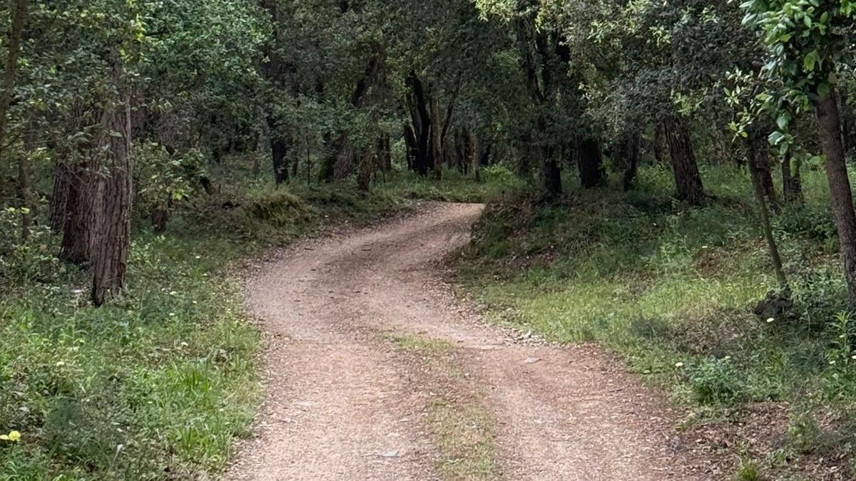 Camins que s'han arranjat a Palafrugell.